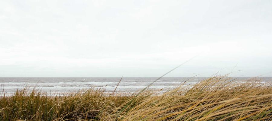 BrandGens SEO result