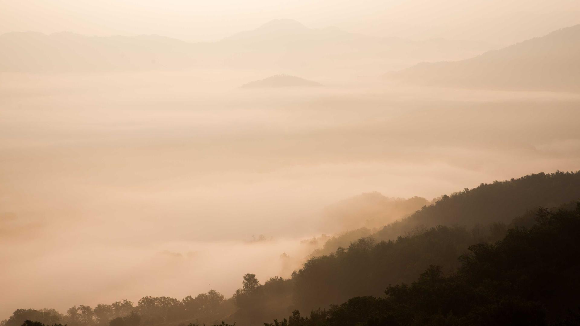 Royal Polo Nutrition 2026