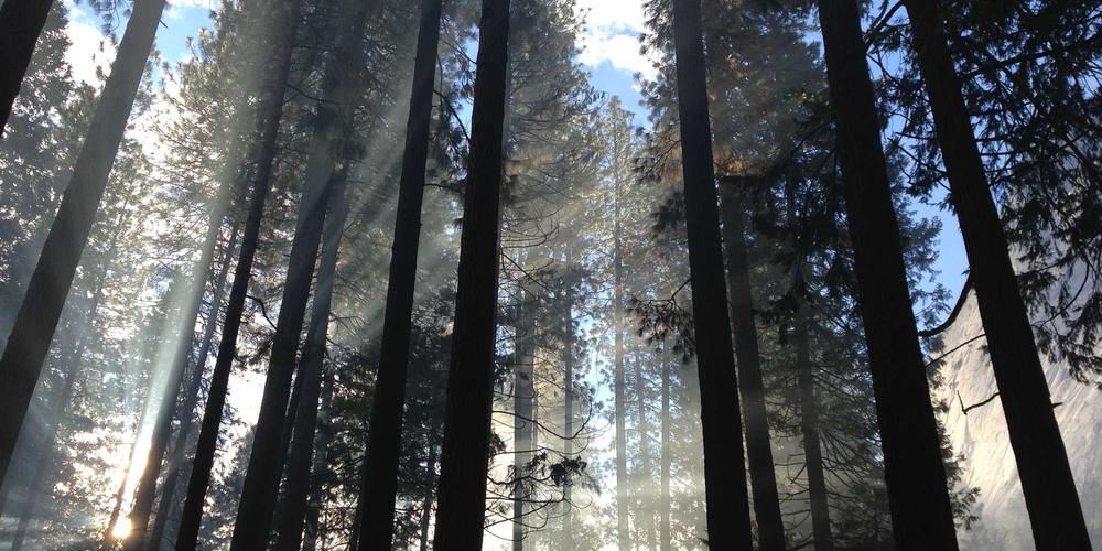 AI Design Trends 2024