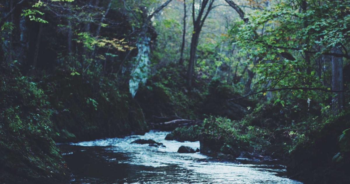 SpaceX đàm phán đưa Starlink vào Việt Nam: Kỳ vọng phổ cập Internet vệ tinh tốc độ cao tại vùng sâu