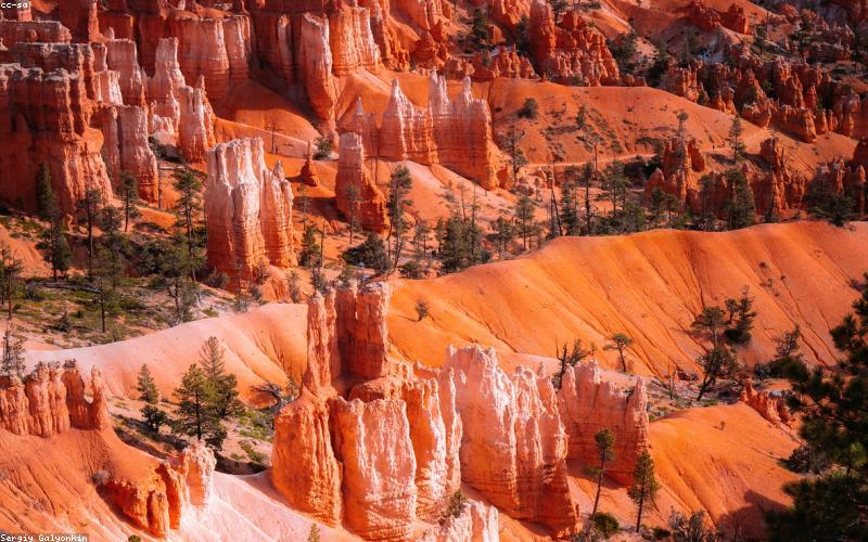 Trải nghiệm bản địa