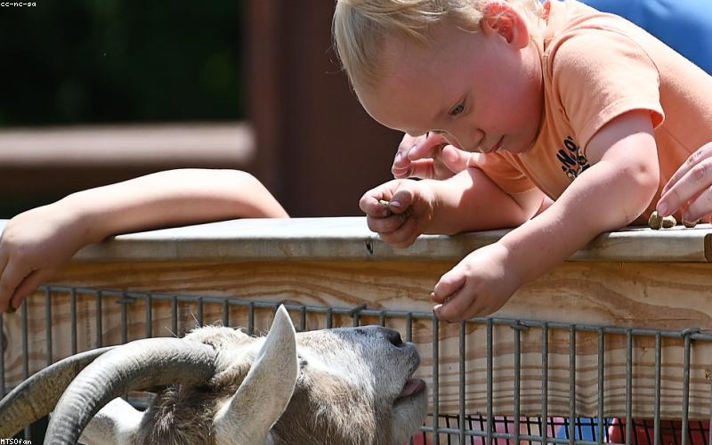 Bé bú bình an toàn