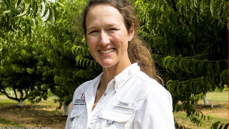 Nông nghiệp thẳng đứng tại đô thị