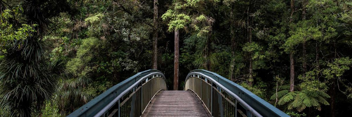 Hoạt động trong không gian 2026