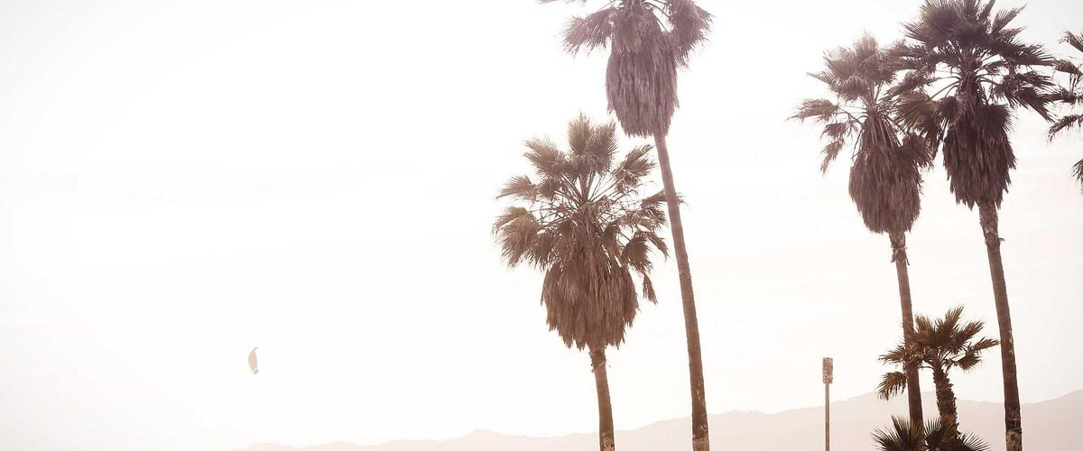 Panoramic city flight