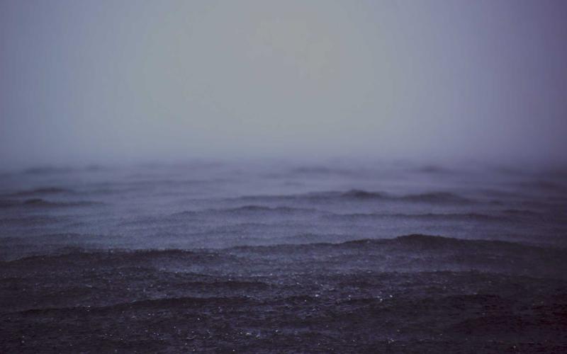 Rare Gacha Machine 2026