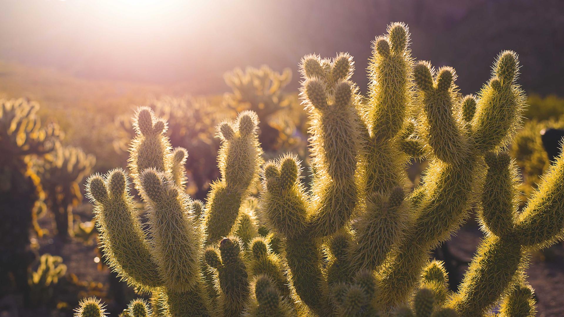 AgriTour VN 2026 Landscape