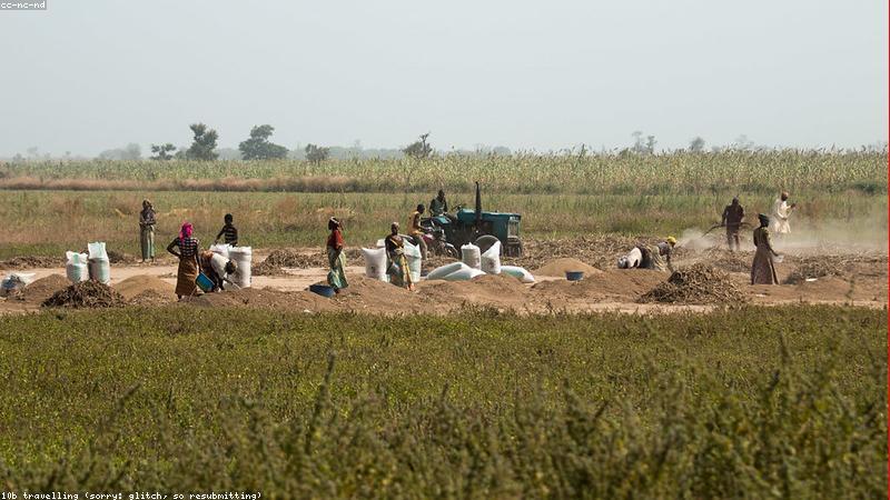 Cánh đồng nông nghiệp xanh mướt