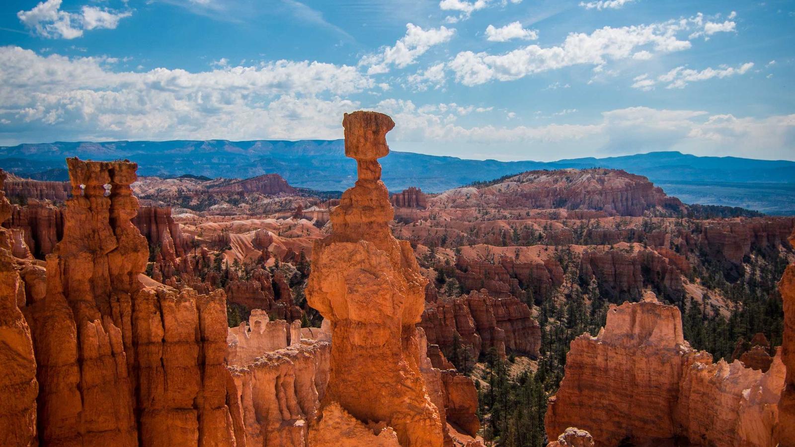 Caribbean Sunset 2026