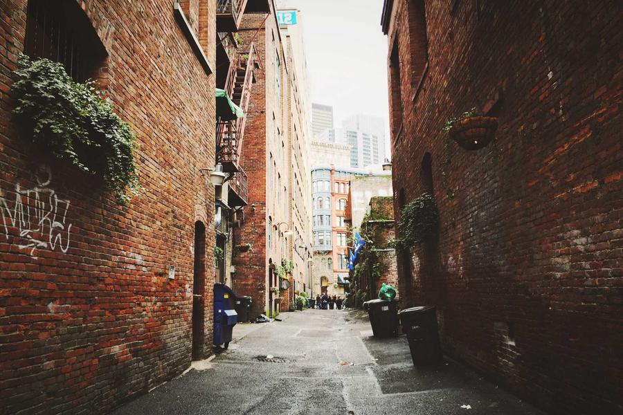 Professional training session 2026