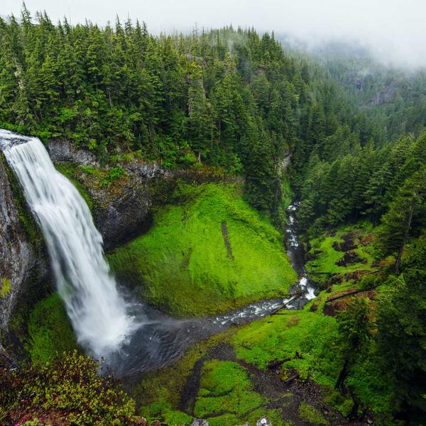 Phân tích ty thể 2026