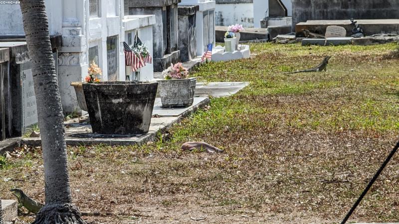 Bàn phím đàn Piano nghệ thuật