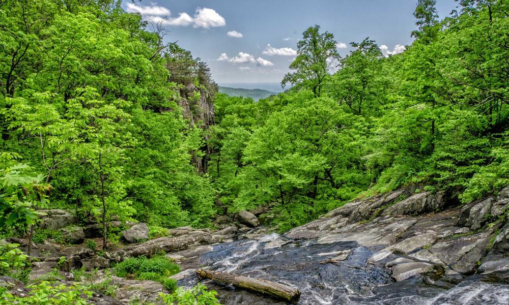 Phục hồi hệ sinh thái biển 2026