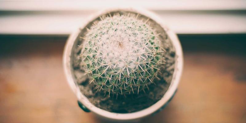 Student coding session