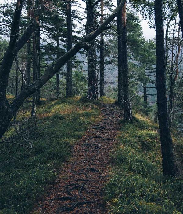 Kiến trúc nội thất Yoga