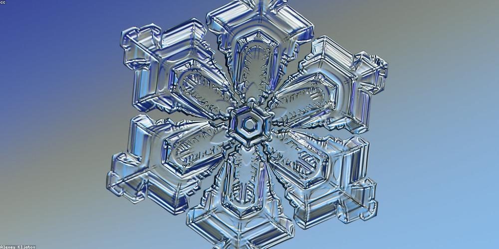 Digital Growth Strategy