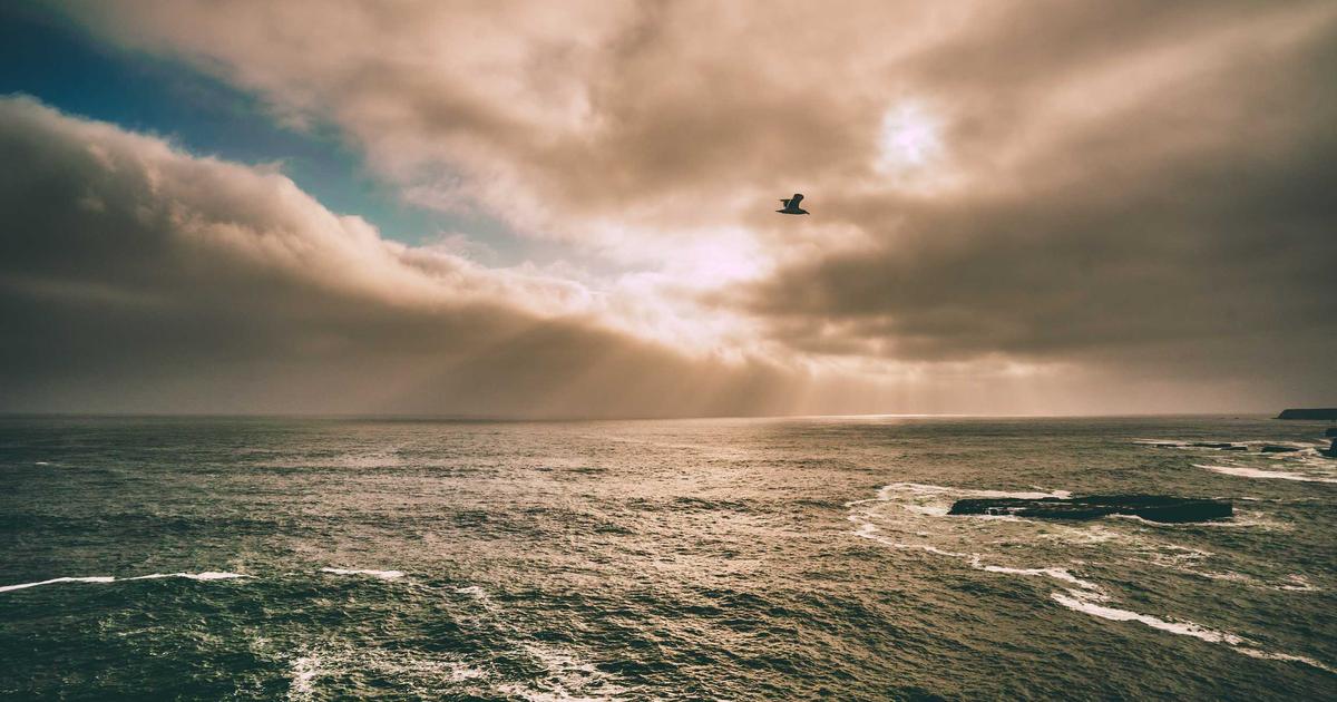 Sự trỗi dậy của 'Skintelligence': Xu hướng cá nhân hóa liệu trình da liễu bằng AI tăng trưởng 25% trong năm 2024