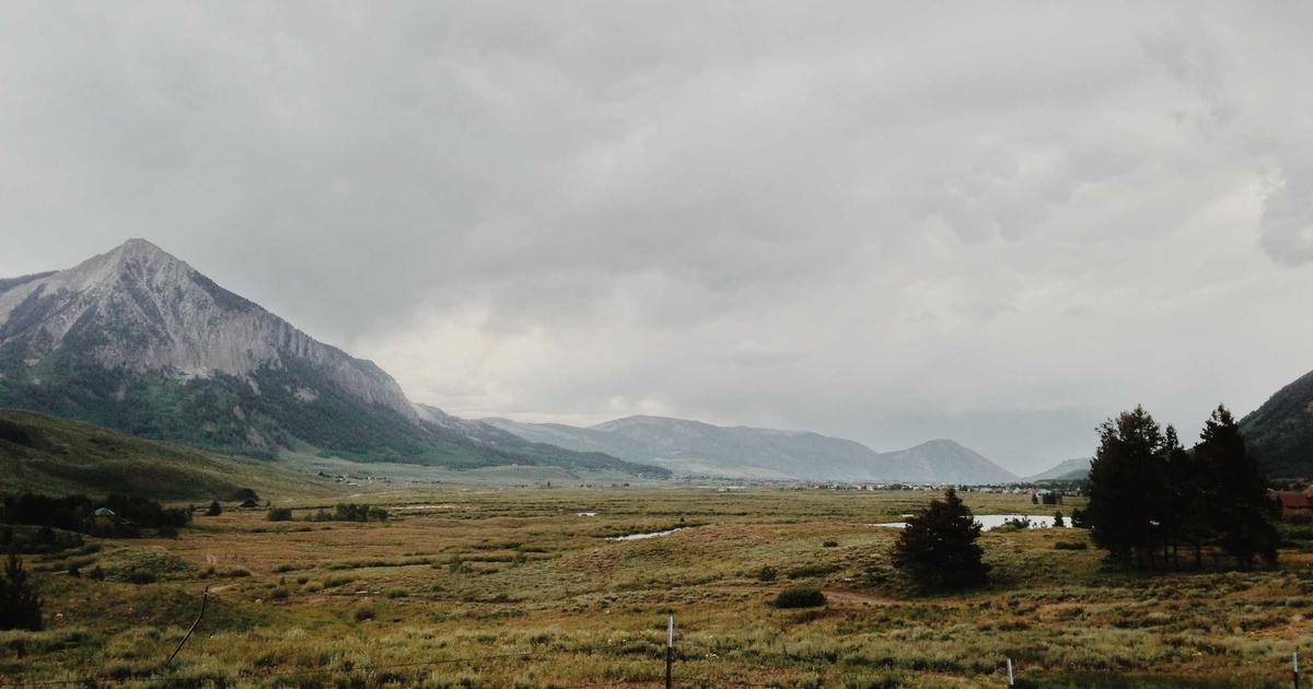 Xu hướng thiết kế website bằng AI năm 2025: BrandGens dẫn đầu kỷ nguyên tự động hóa