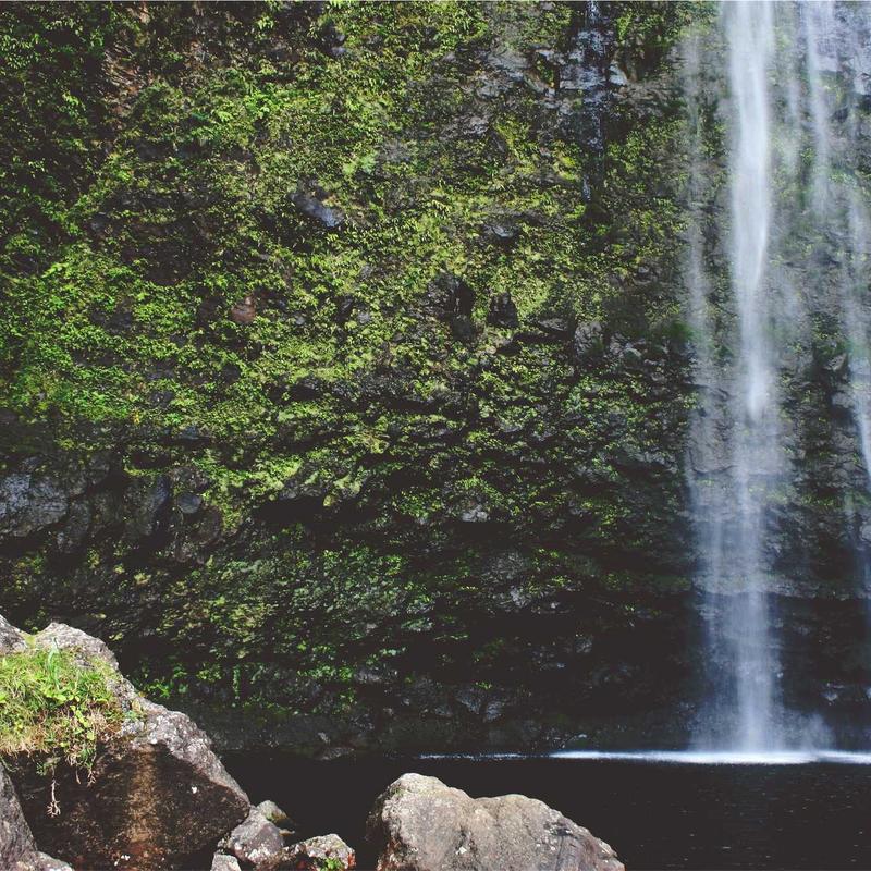 Giày Sneaker Sport Pro