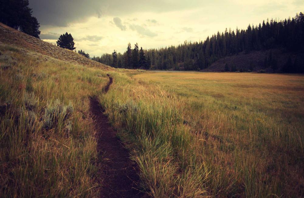 Hậu trường studio bền vững 2026