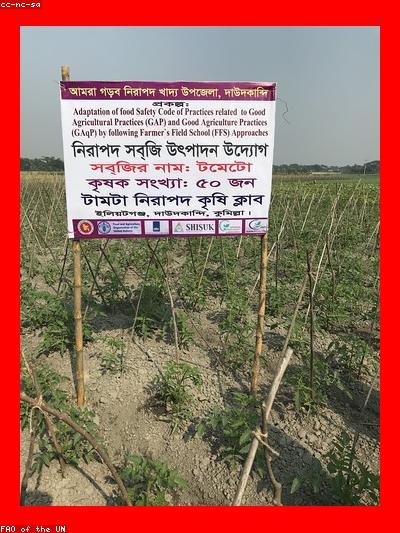 Áo dài lụa trơn