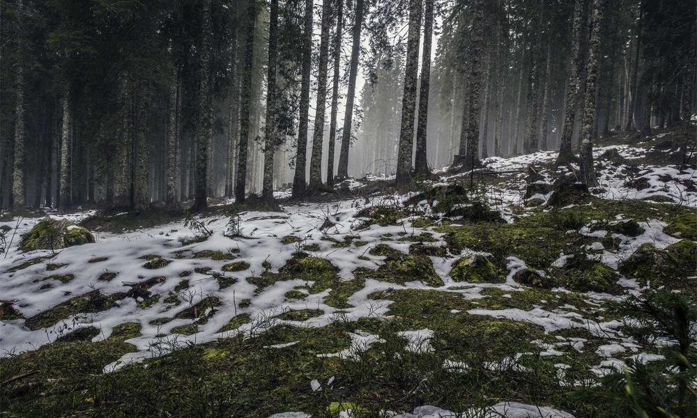 Ẩm thực farm to table