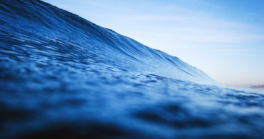 Công nghệ AI tại phòng tập