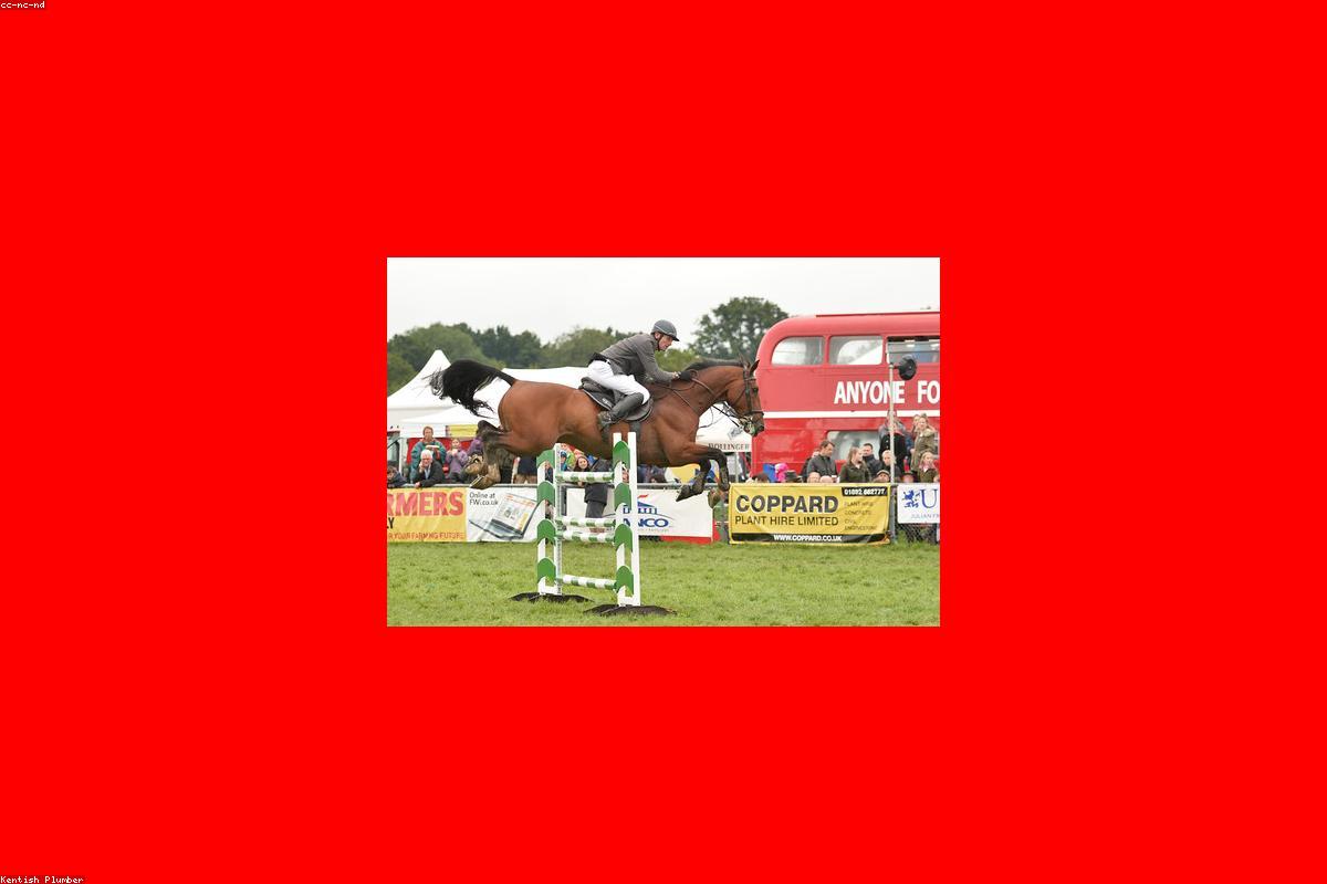 Nghệ sĩ tỏa sáng trên thảm đỏ