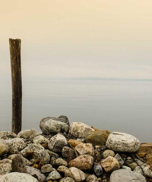 Wildflower Art - Hoa quà tặng thủ công
