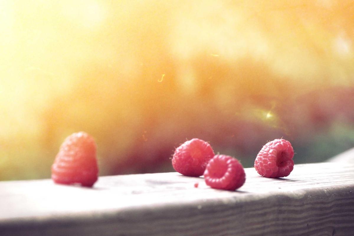 Giường ngủ 2026 sang trọng