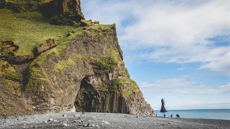 Mỹ phẩm thuần chay 2026