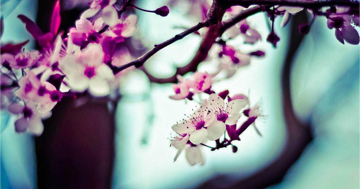 Hướng dẫn ba mẹ cách giúp bé vui chơi an toàn và hiệu quả tại Bunny Land