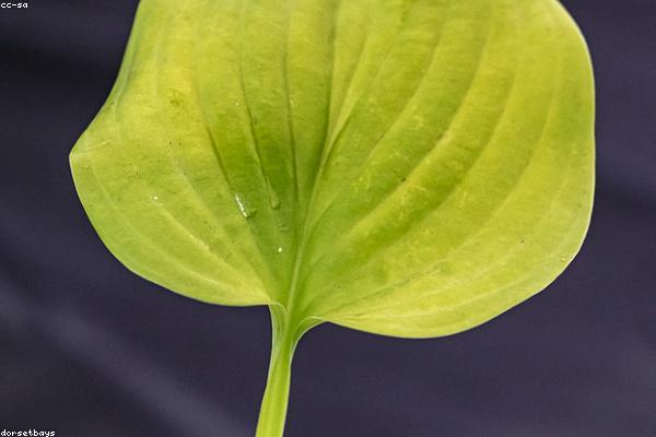 Tùy chỉnh cá nhân