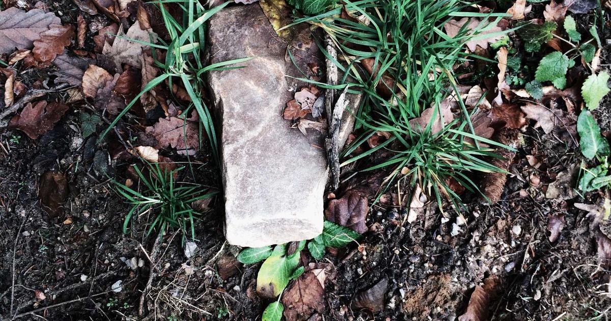 Nghệ thuật lưu giữ ký ức qua mùi hương: Insight từ hành trình 10 năm làm Perfume Collector