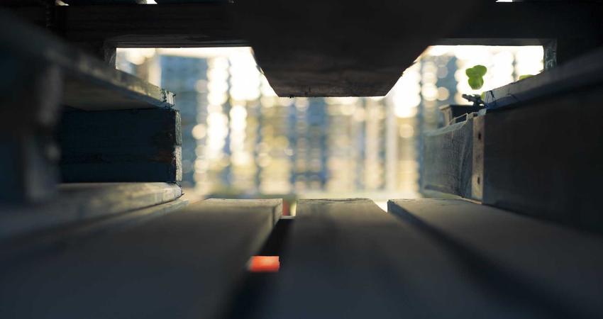 Nghệ thuật Art Toy 2026