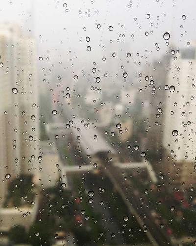 Barista preparing coffee