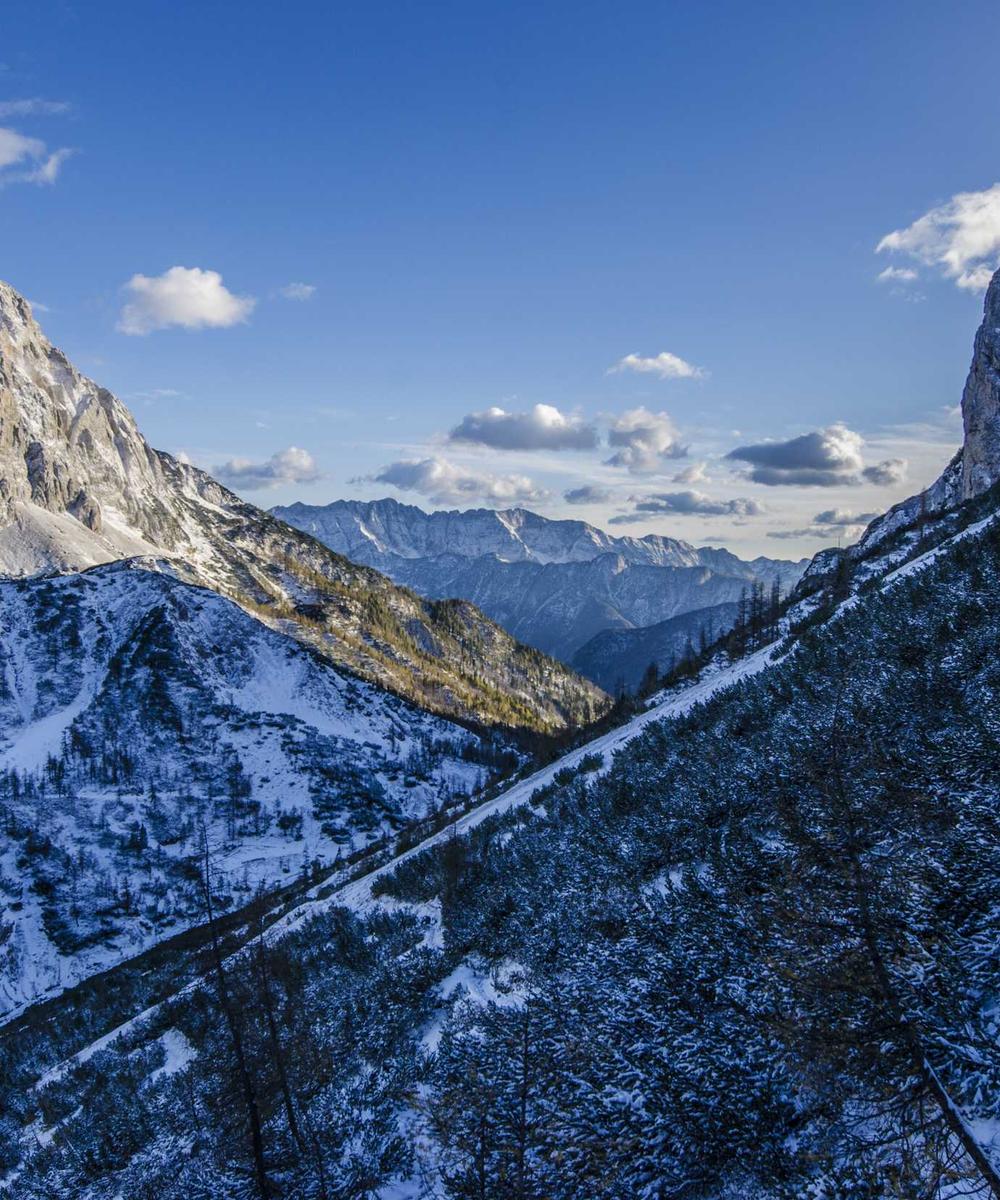 Ống hút cỏ bàng thủ công