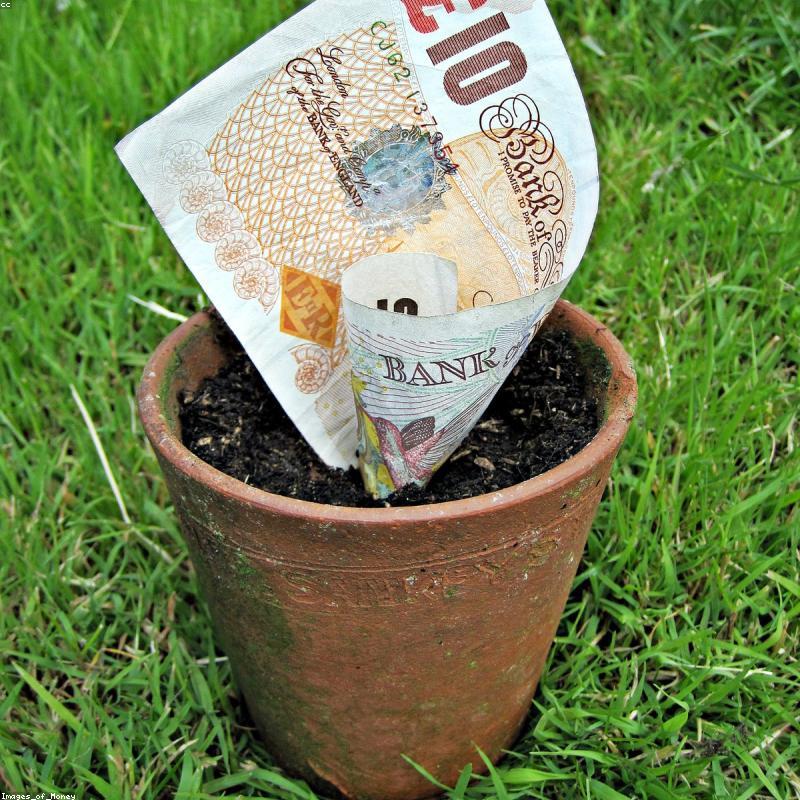 Chậu Đất Nung Terracotta Basic