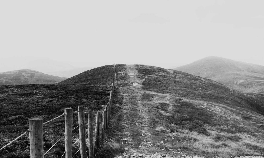 Abstract Nature Interface