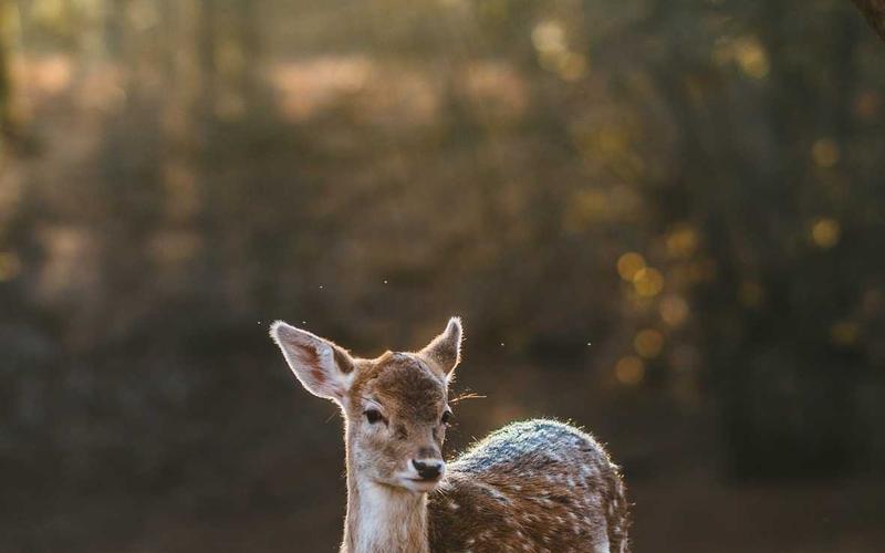 Luyện tập vật lý trị liệu tại văn phòng