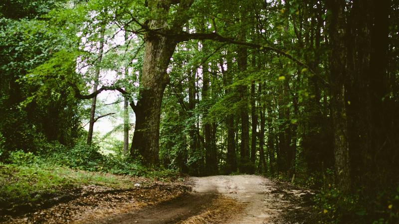 Phụ kiện trà đạo Zen House