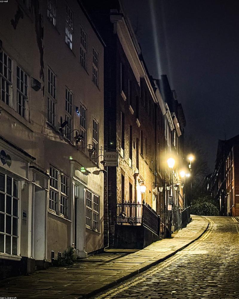 Vườn dược liệu đêm