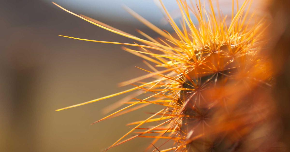 Cháy hơn 20.000 vé chỉ sau 2 giờ mở bán: Concert 'Anh Trai Say Hi' xác lập kỷ lục mới tại Việt Nam