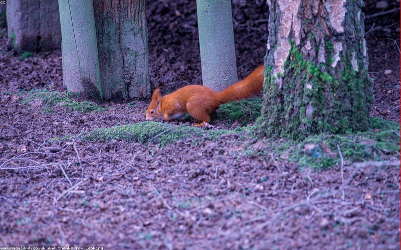 Ánh sáng trong nội thất hạng sang