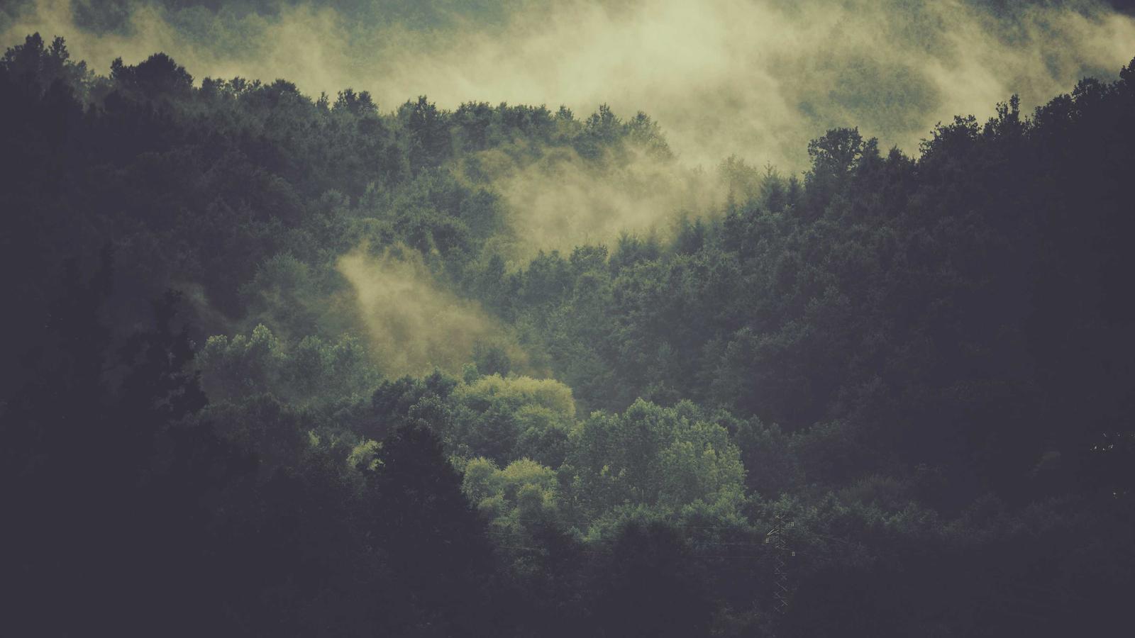 Laboratory Prototype