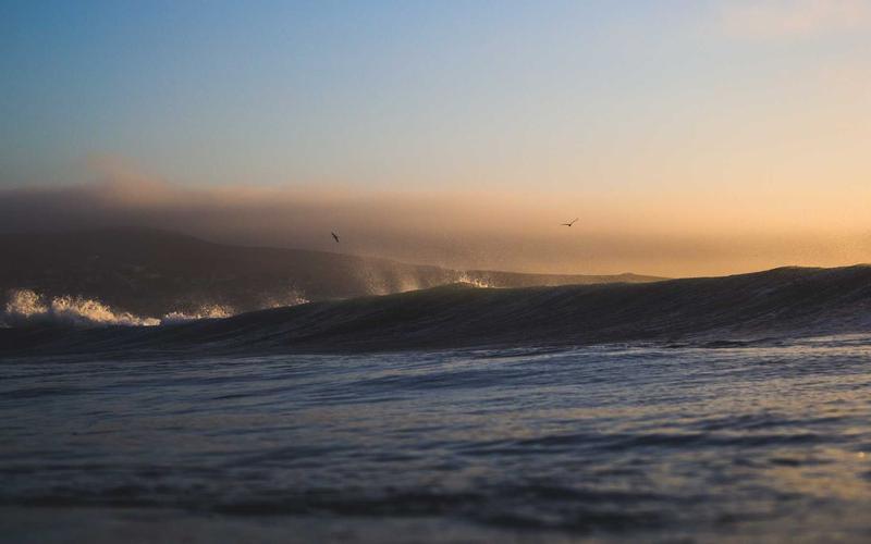 Bottling Process 2026