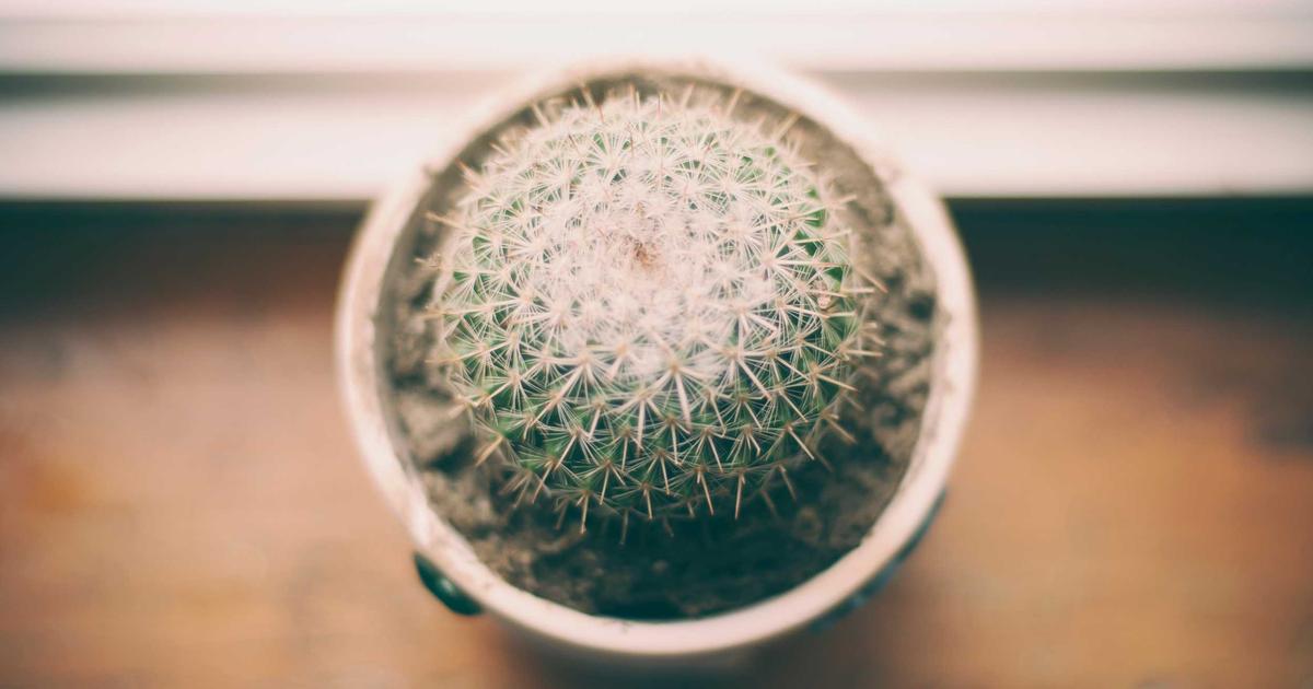 Phân tích giá trị cốt lõi của sản phẩm gốm thủ công so với gốm sản xuất đại trà