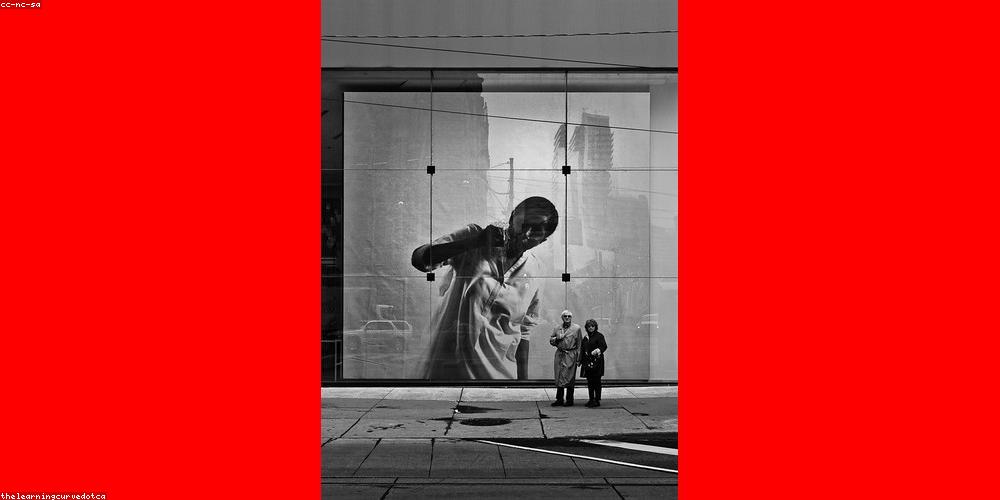 Du lịch bền vững dưới tán rừng