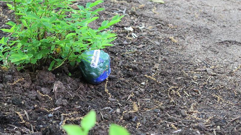 Trẻ em chơi với đồ chơi bền vững