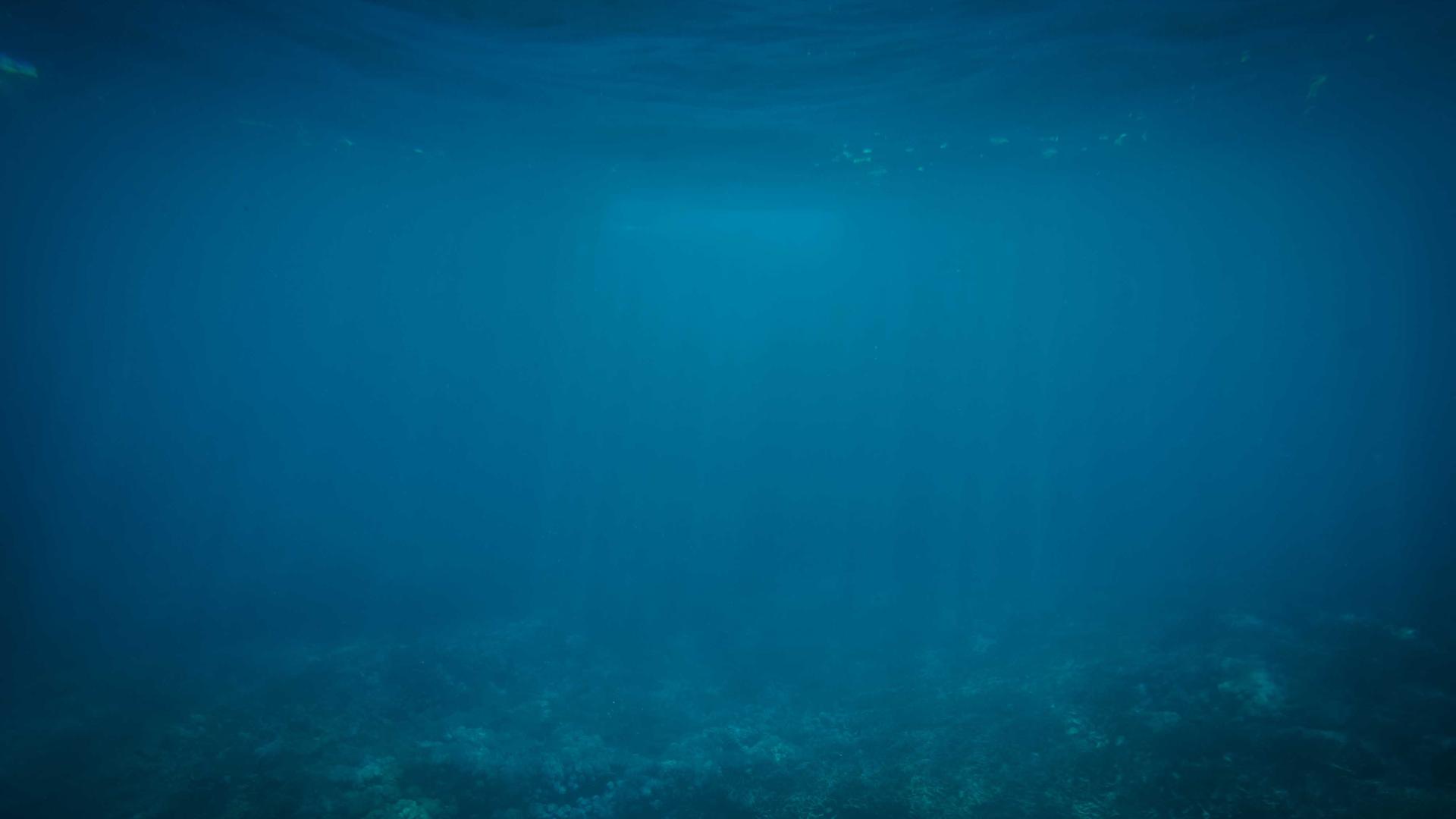 Phối cảnh biệt thự biển thông minh 2026